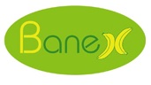 Banexgroup